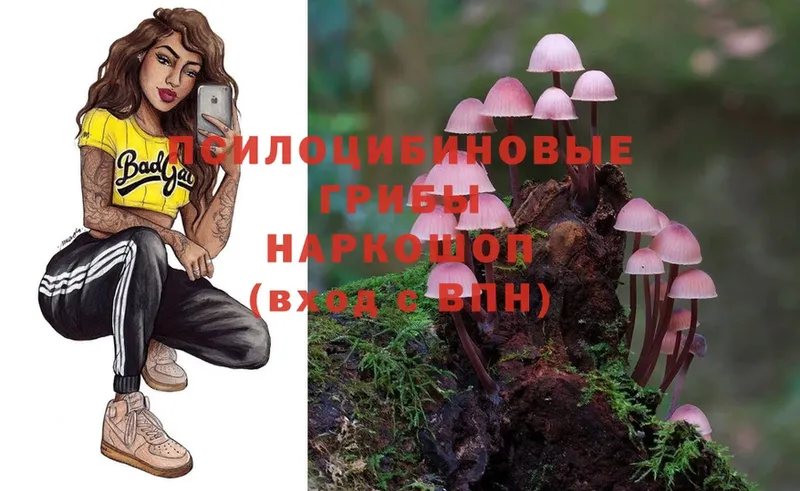 закладки  shop телеграм  Псилоцибиновые грибы Magic Shrooms  Копейск 